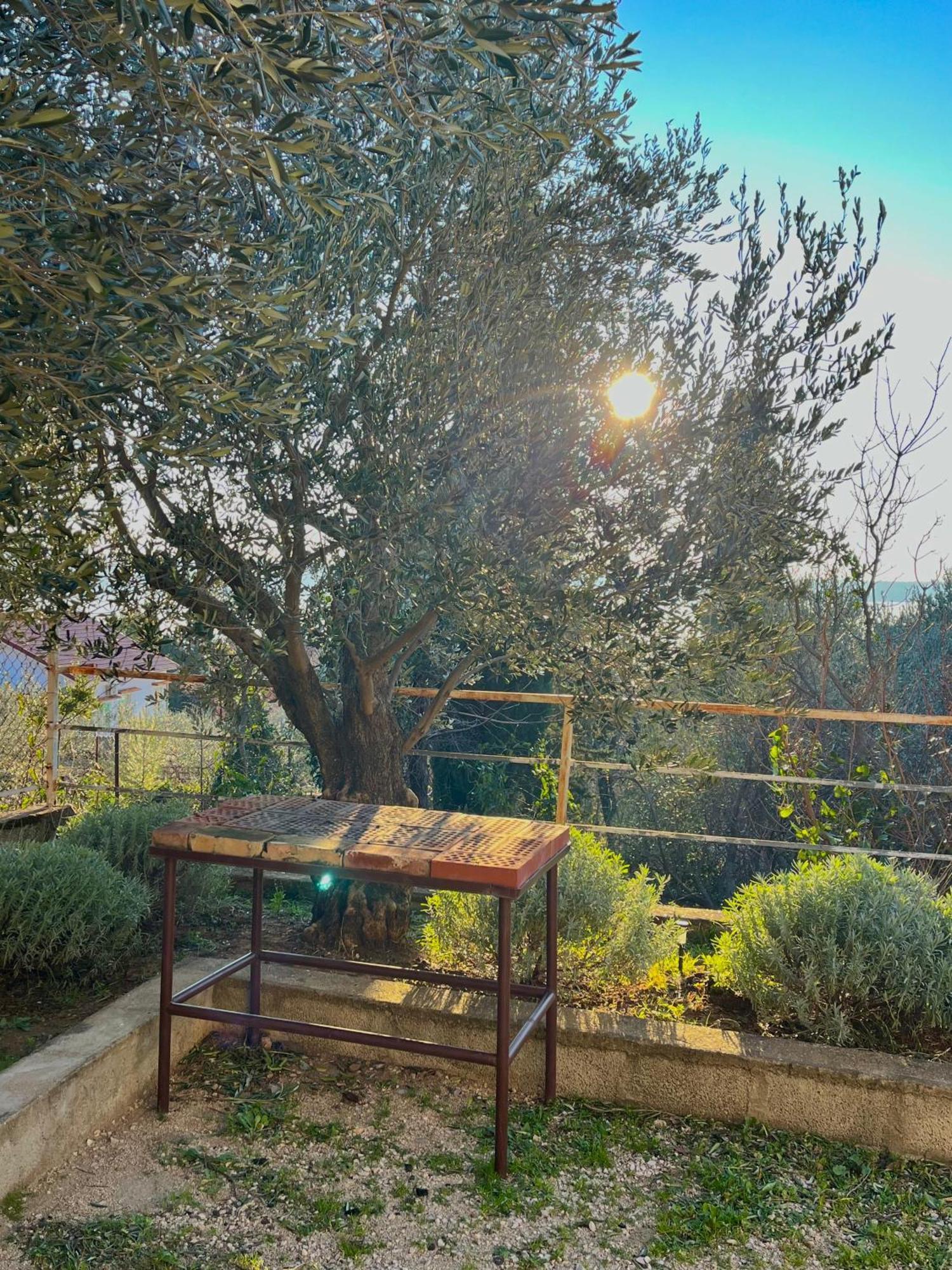 Modern Seaview House Fiore Starigrad Paklenica Extérieur photo
